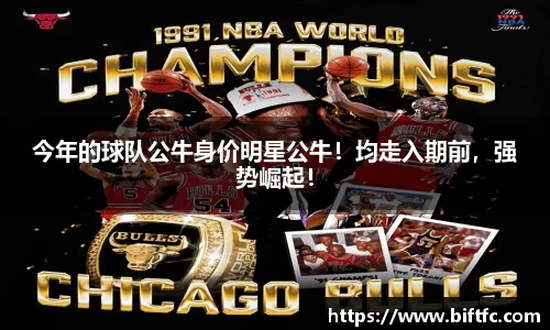 bsports官网入口