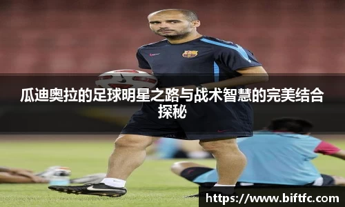 bsports官网入口