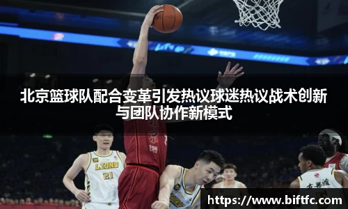 bsports官网入口