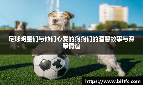 足球明星们与他们心爱的狗狗们的温馨故事与深厚情谊